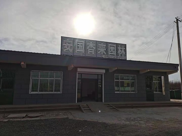 苗圃基地到底该用不用化肥|河北保定安东苗圃基地